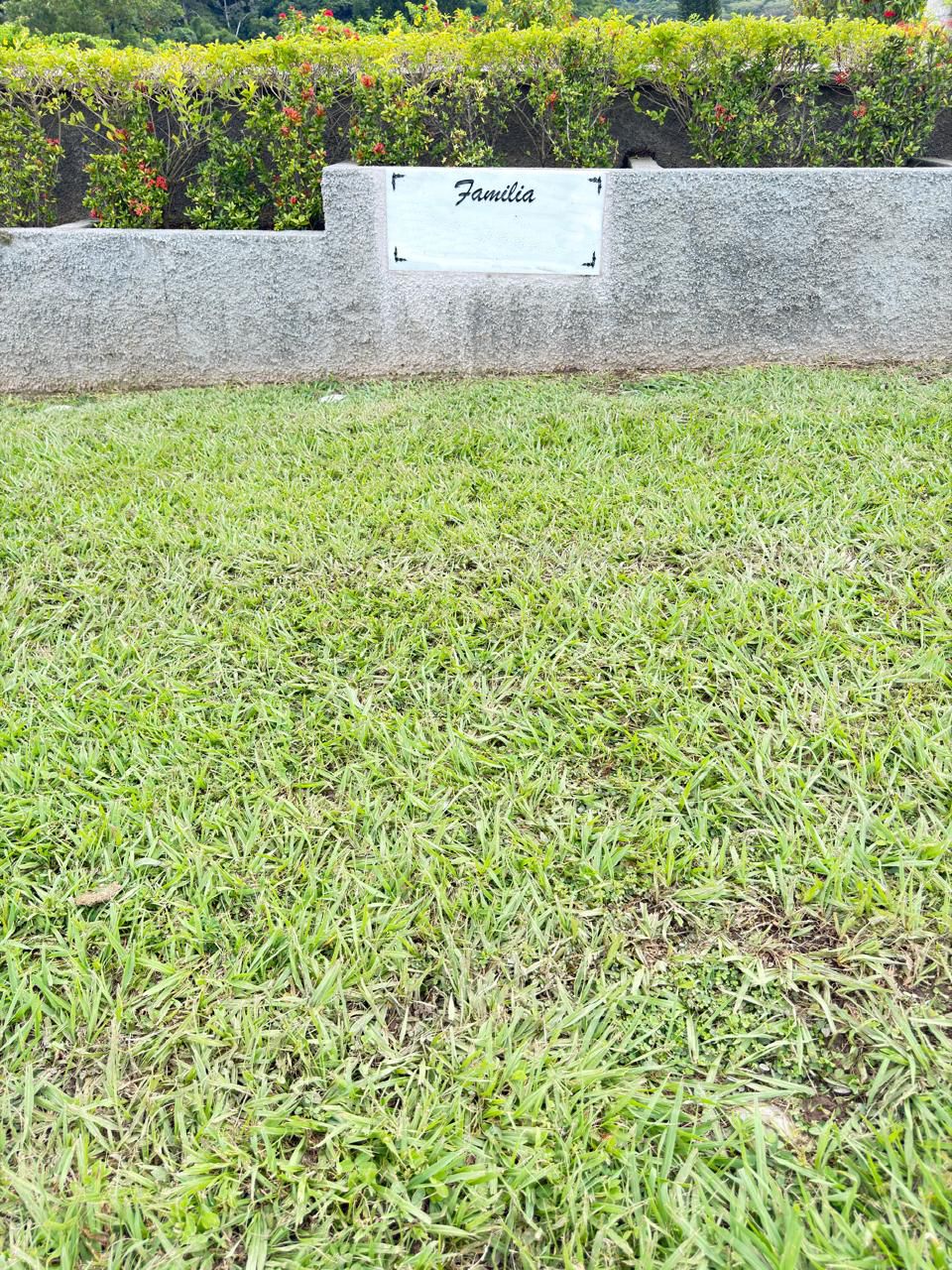 Jardineras