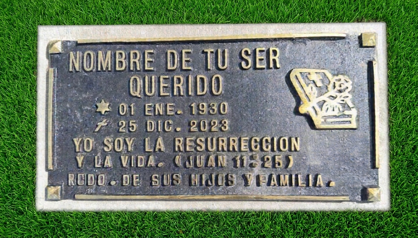 Placa